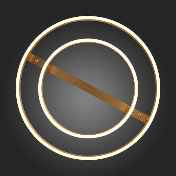 Потолочная светодиодная люстра ST Luce Onze SL944.202.02