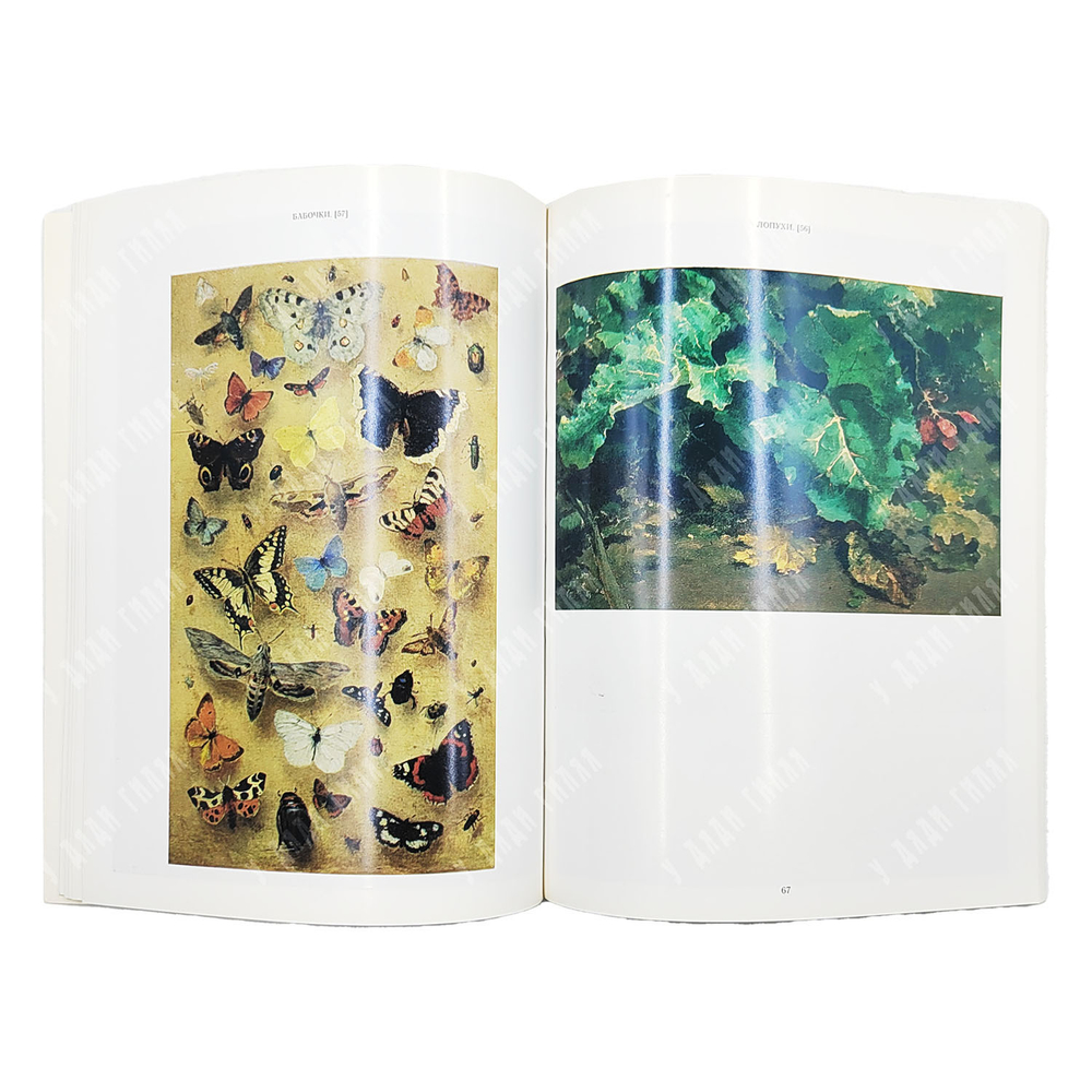 Василий Дмитриевич Поленов. К 150-летию со дня рождения. Каталог выставки. 1994