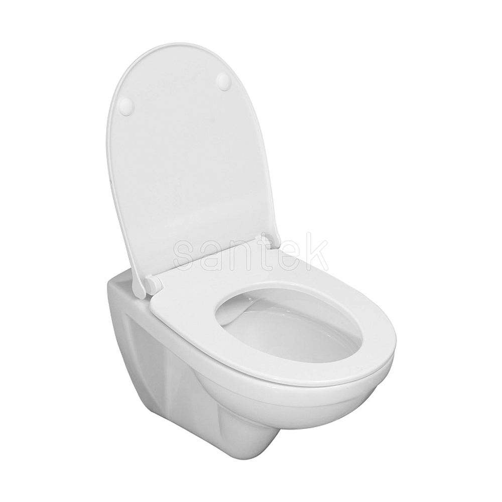 Пэк Santek "Бореаль" rimless подвесной, безободковый унитаз с тонким сиденьем, инсталляция, панель белого цвета (1.WH50.1.832)