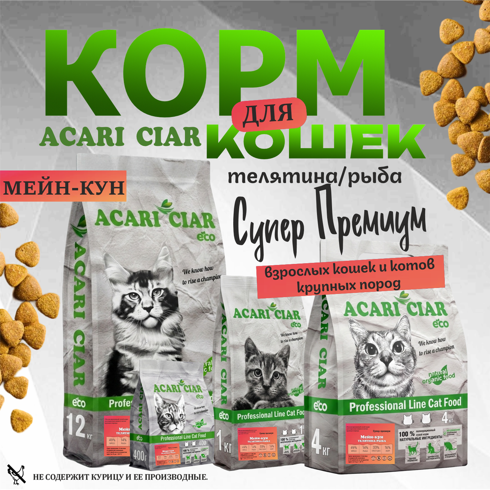 Acari Ciar А КЭТ Мейн-кун Телятина