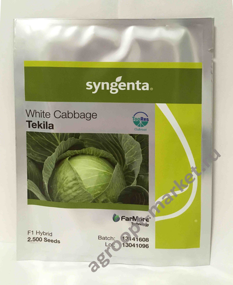 ТЕКИЛА F1 семена капусты белокочанной (Syngenta | Alexagro) – фото 6