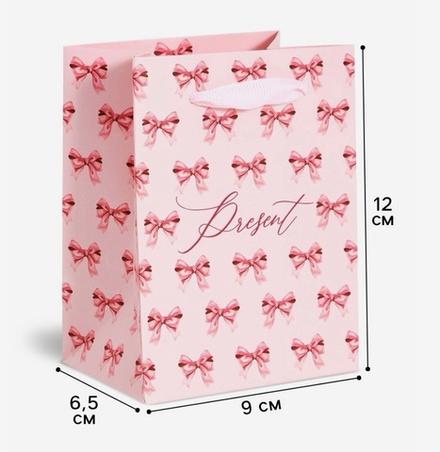 Пакет ламинированный Present, 9×12×6.5 см