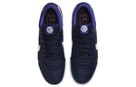 Кроссовки Nike Court Zoom Lite 3 Hc