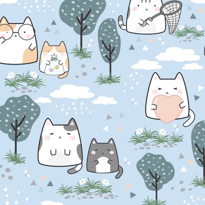 котики