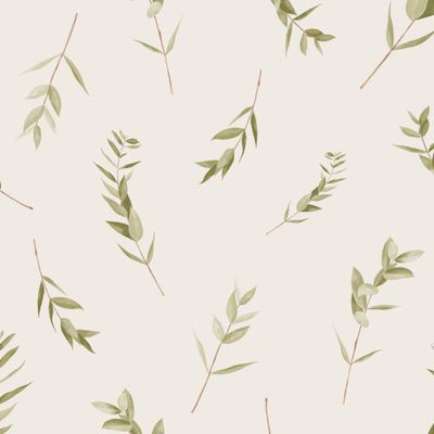 Крупные веточки эвкалипта