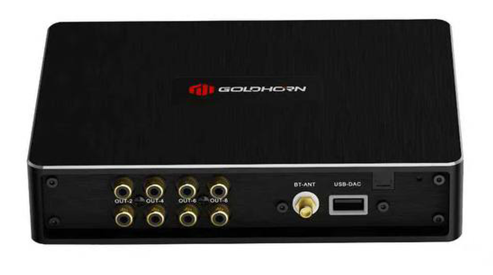 GOLDHORN P1 DSP