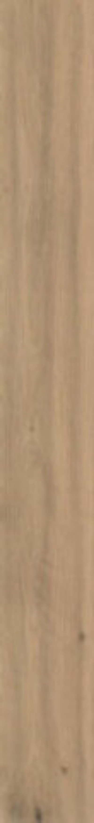 Керамогранит Log Moon Oak (AX51)