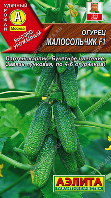 Огурец "G. Малосольчик F1" 10шт, Россия.