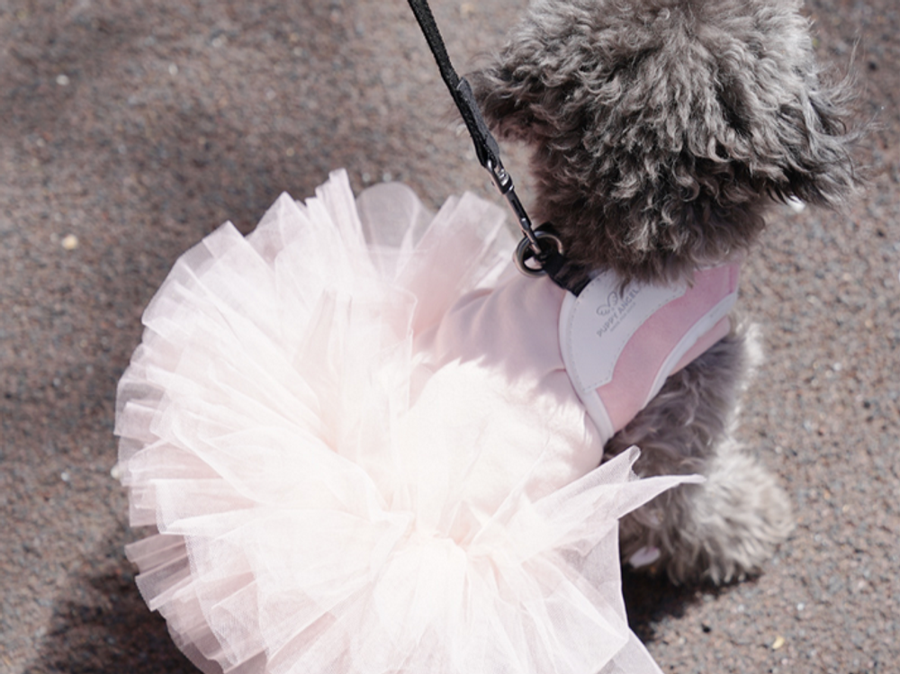 157 PA-DR Платье-пачка "Puppy Angel - TUTU Dress"