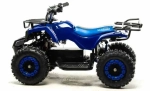 Электроквадроцикл Motoland ATV E008 800Вт