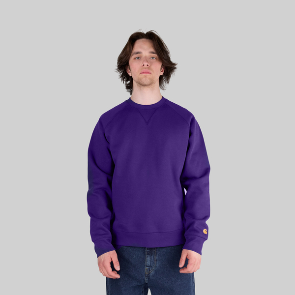 Толстовка мужская Carhartt WIP Chase Sweatshirt артикул:I033660_tyrian - купить в магазине Дайс