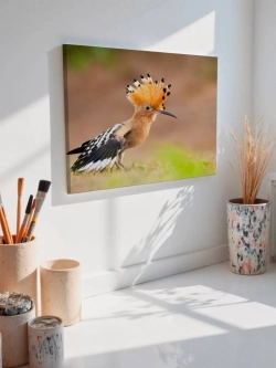 Картина на стену 40 X 50 Птица