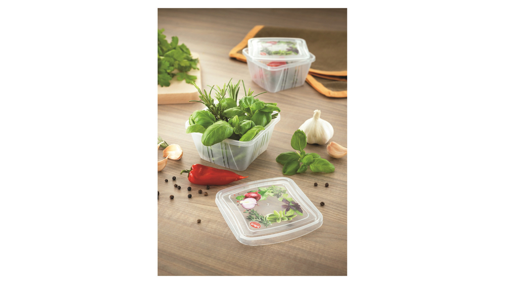 Набор контейнеров 3шт 250мл SNIPS Fresh для СВЧ и заморозки