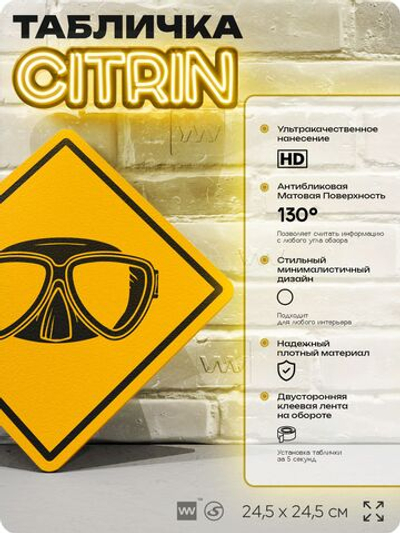 Табличка декоративная "Очки дайвера" на дверь и стену, спортивная, информационная, декоративный знак, 24,5х24,5 см, пластиковая, Айдентика Технолоджи
