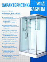 Душевая кабина WeltWasser  WW500 LAINE 1212 120х90 см,  прозрачное стекло, поддон низкий, крыша