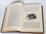 "Натуралист в Ла-Плате"  У.Г.Хадсон  1896 г. - антикварное издание