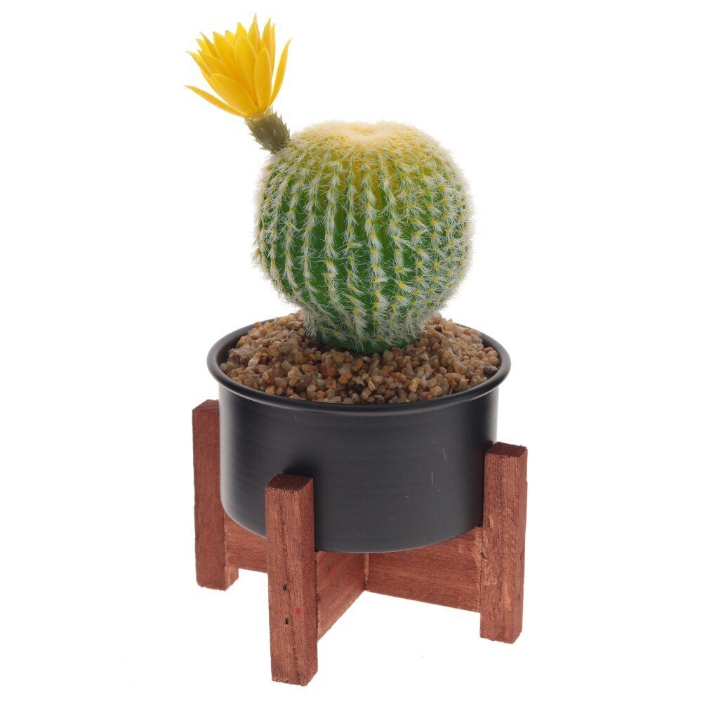 GAEM Цветочная композиция "Кактус", L13 W13 H20 см