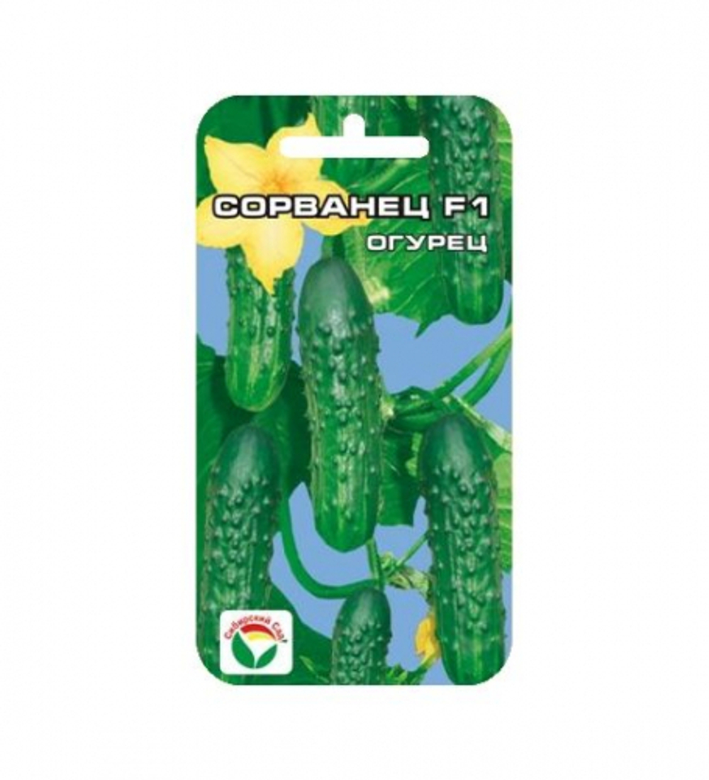 Огурец Сорванец