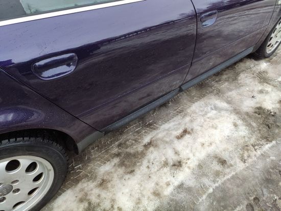 Листва (молдинги) на двери для Audi A4 B6