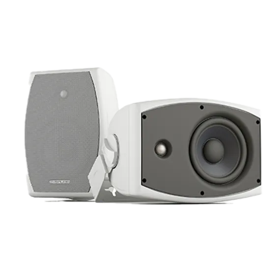 CVGAUDIO ODF508TW настенная акустическая система, мощность 4/8/16/30W в 100V