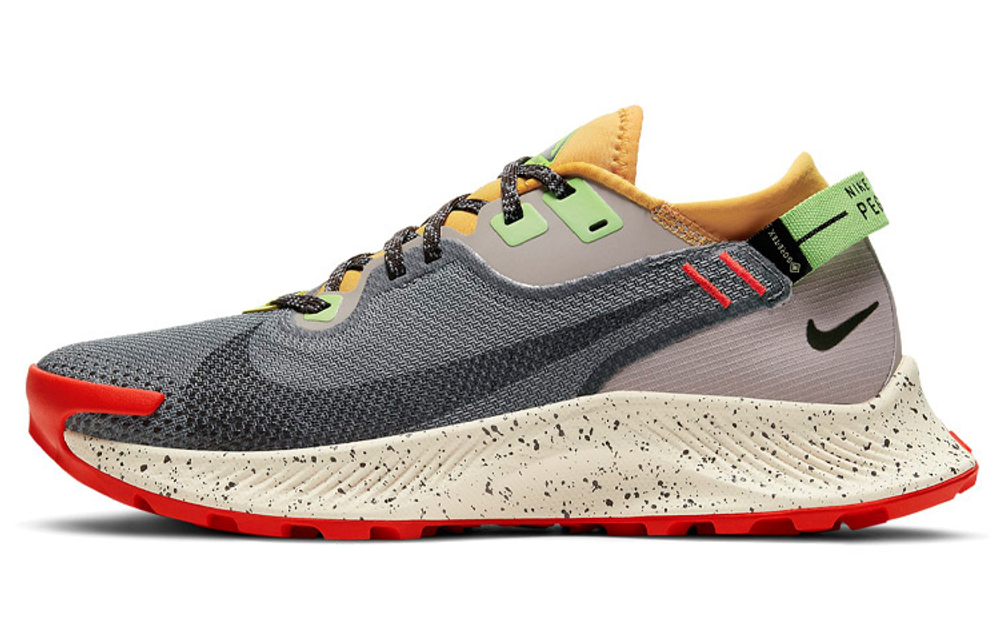 Кроссовки Nike Pegasus Trail 2 Gtx (Женская размерная сетка)