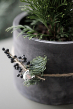 Новогодний набор с Туей в бетонном кашпо № 11