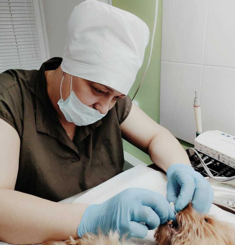 Эндодонтическое лечение корневого зуба