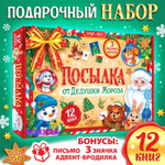Подарок на Новый год для детей «Посылка от Дедушки Мороза», большой новогодний подарочный набор книг 12 шт
