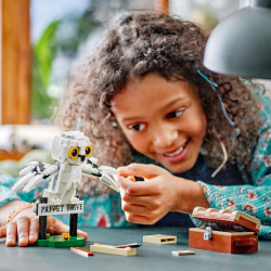 LEGO Harry Potter - Хедвиг в гостях на ул. Привет Драйв 4 76425