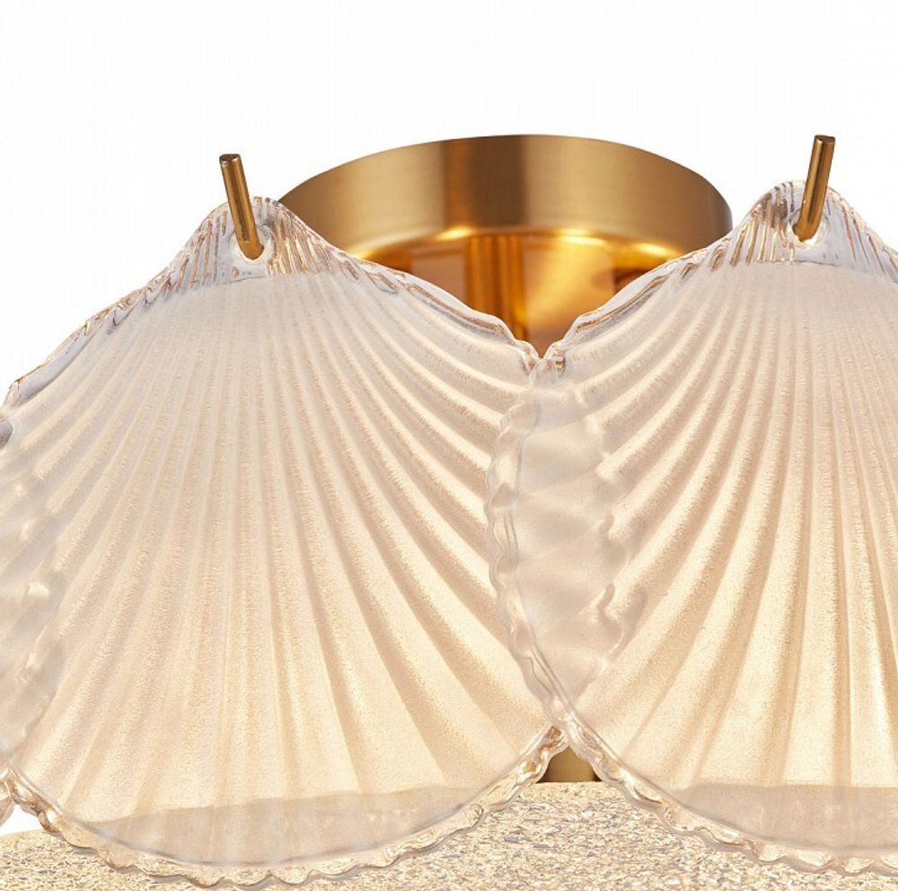 Люстра на штанге Arte Milano AM-Rim 316009/D500 BS