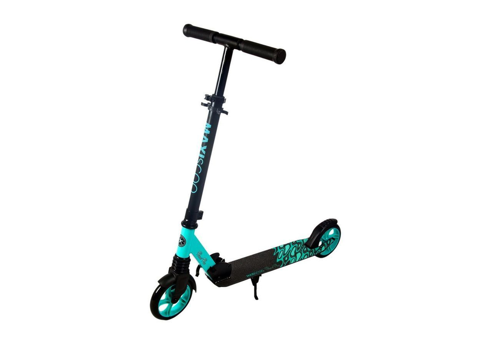 Maxiscoo "Pond Pro" (2024)