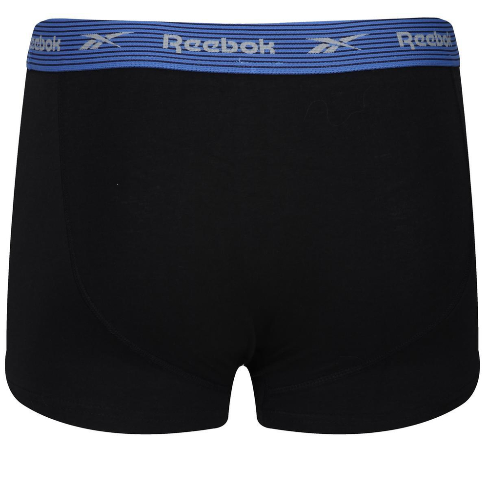 Мужские спортивные боксеры Reebok Mens Trunk EDRIK 3P - grey/purple/blue stripe