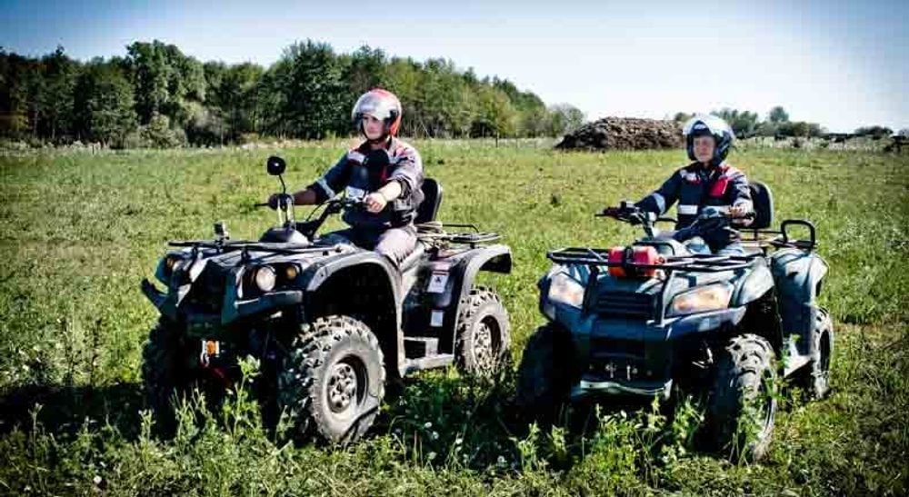 Квадроцикл BALTMOTORS Striker 700 EFI (ПСМ)