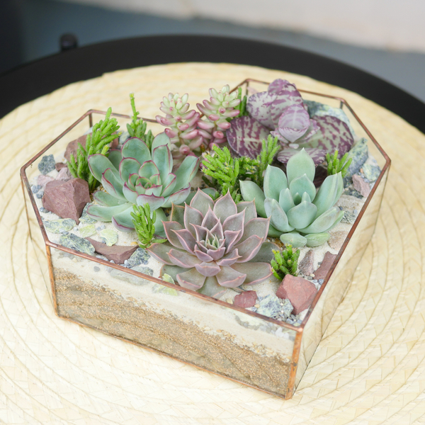 Готовый флорариум с суккулентами Сердце 20см органик