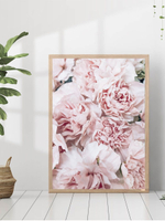 Набор постеров 30х40 пионы 3 шт арт 156285092 ТТН 246259307