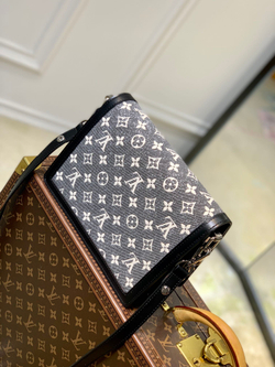 Louis Vuitton Dauphine MM