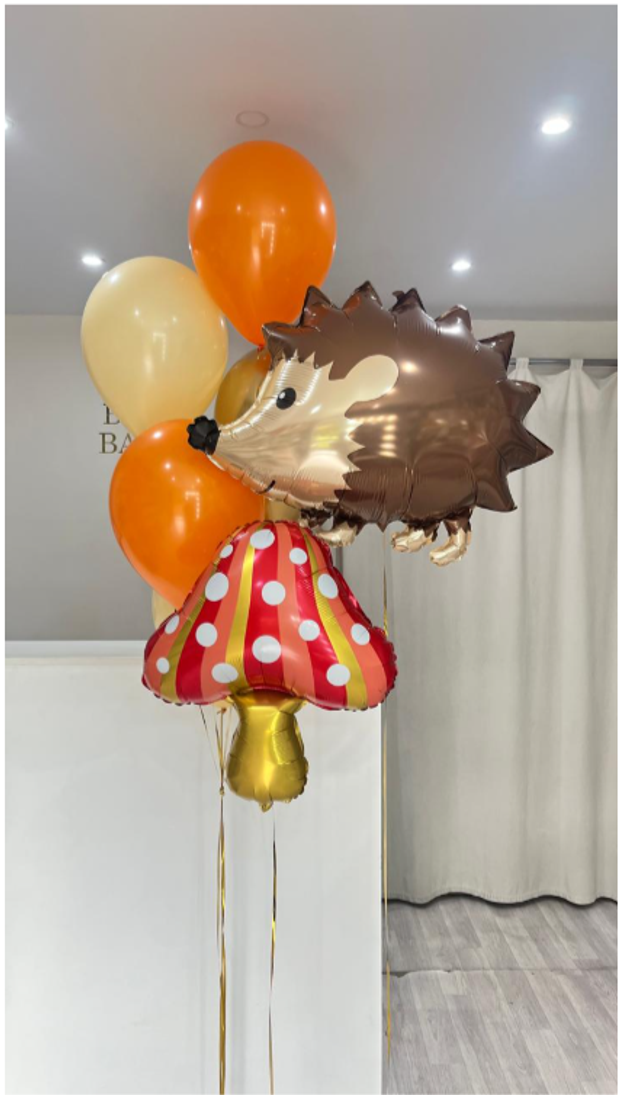 шары для девочек №403