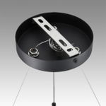 Подвесная люстра Lumion LUAZANA 8242/9