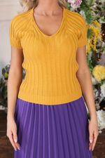 Джемпер Др3-480/2 Wisell (Акция)