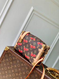 Louis Vuitton Side Trunk MM