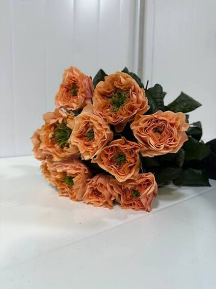 Букет из 11 шт пионовидной розы Питер Парк