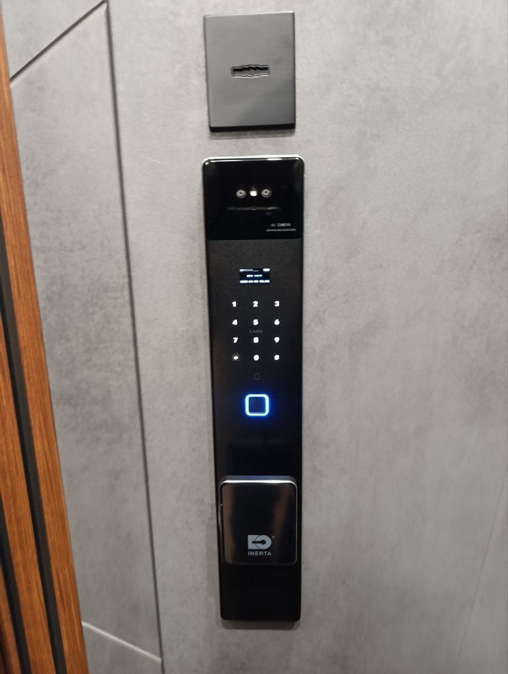 Стальная дверь "Дуэт Б" с зеркалом (биометрический замок К 06)