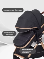 Коляска детская RANT basic "ROLLER " (2в1) RA161
