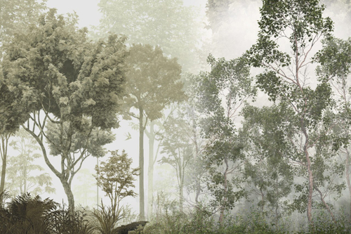 Дизайнерские папка 2 №112 Фотообои и Фрески