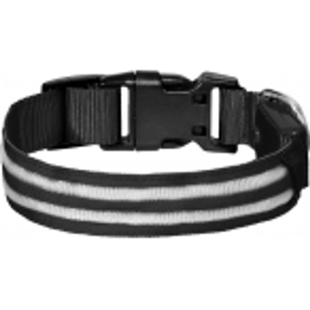 Tappi Ошейник Конти для собак светодиодный, чёрный, размер S, 2.5x40 см