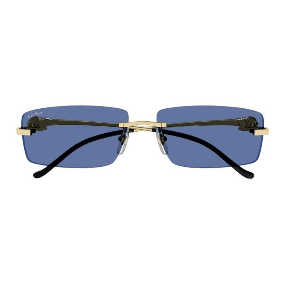 Очки CARTIER, CT0430S004