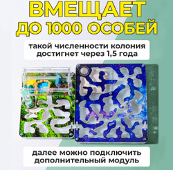 Муравьиная ферма с муравьями в подарок «Стартовая Мох»