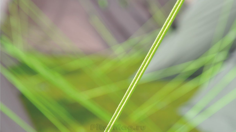 Палатка с надувным каркасом Outwell Flagstaff 5A [110454]