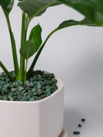 Дренаж для цветов и растений микс зелёный