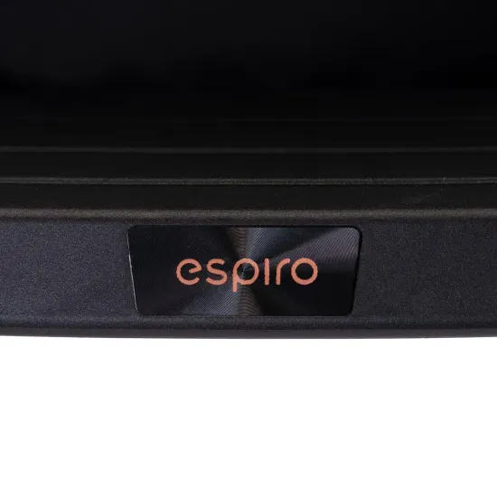 Прогулочная коляска Espiro Flame